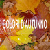 COLORI D'AUTUNNO